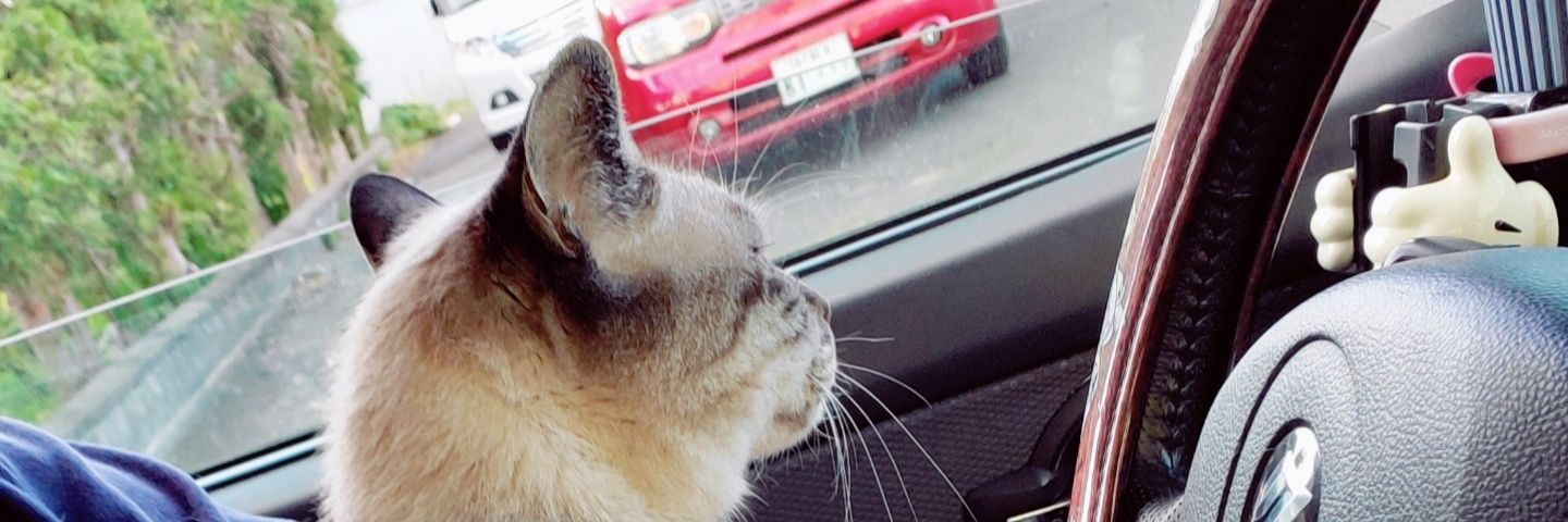 zoochanchan's profile banner image