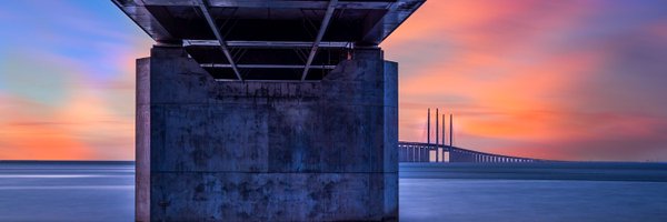 YTanRicamente Profile Banner