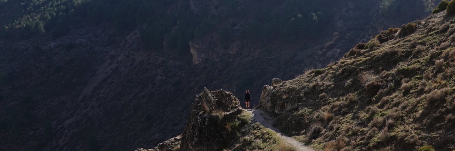 Meghanrosecree's profile banner image