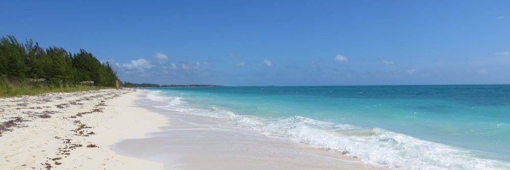 Paulette O'Connor banner