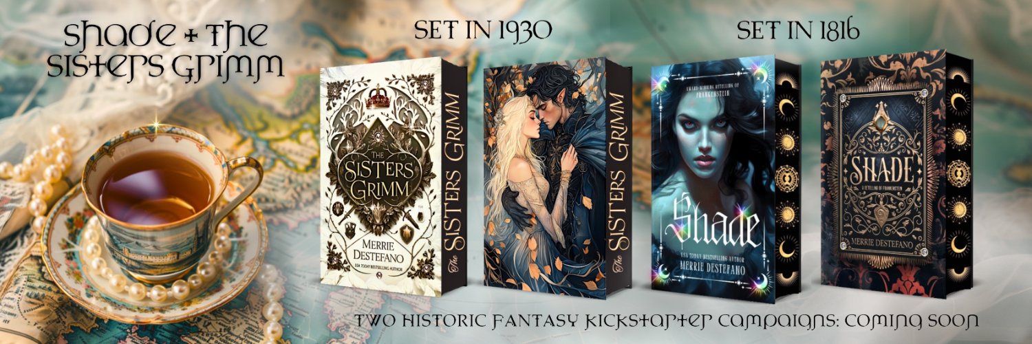 Merrie Destefano's banner