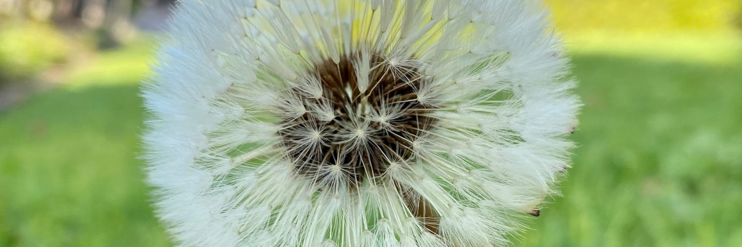 txinin's profile banner image