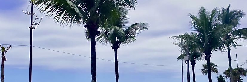 itxspaixao's profile banner image