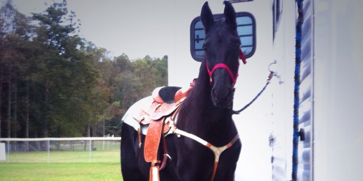 mandy_shafer's profile banner image
