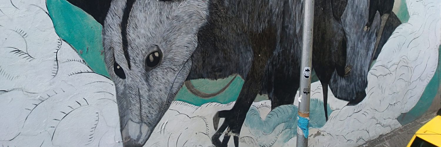 criscosio's profile banner image