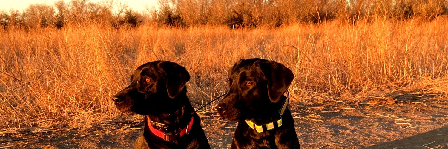Cale_ODonnell's profile banner image