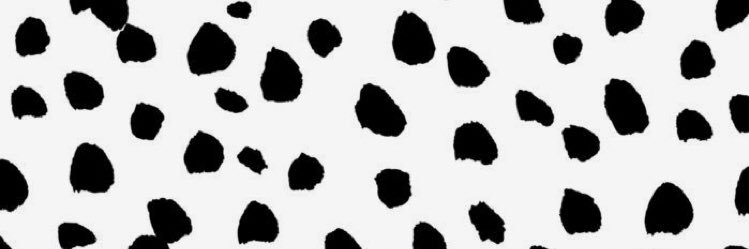 mollibbs's profile banner image