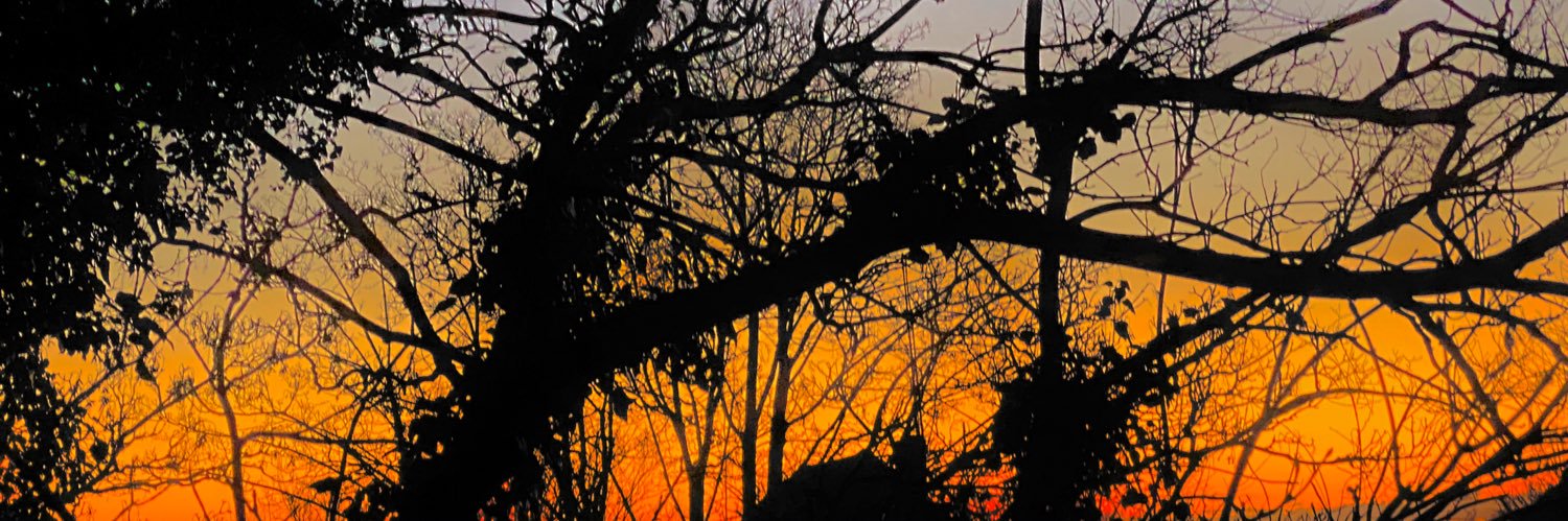 GlowingFreckles's profile banner image