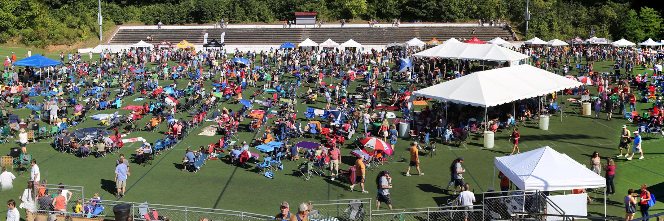 Brewgrass Festival banner