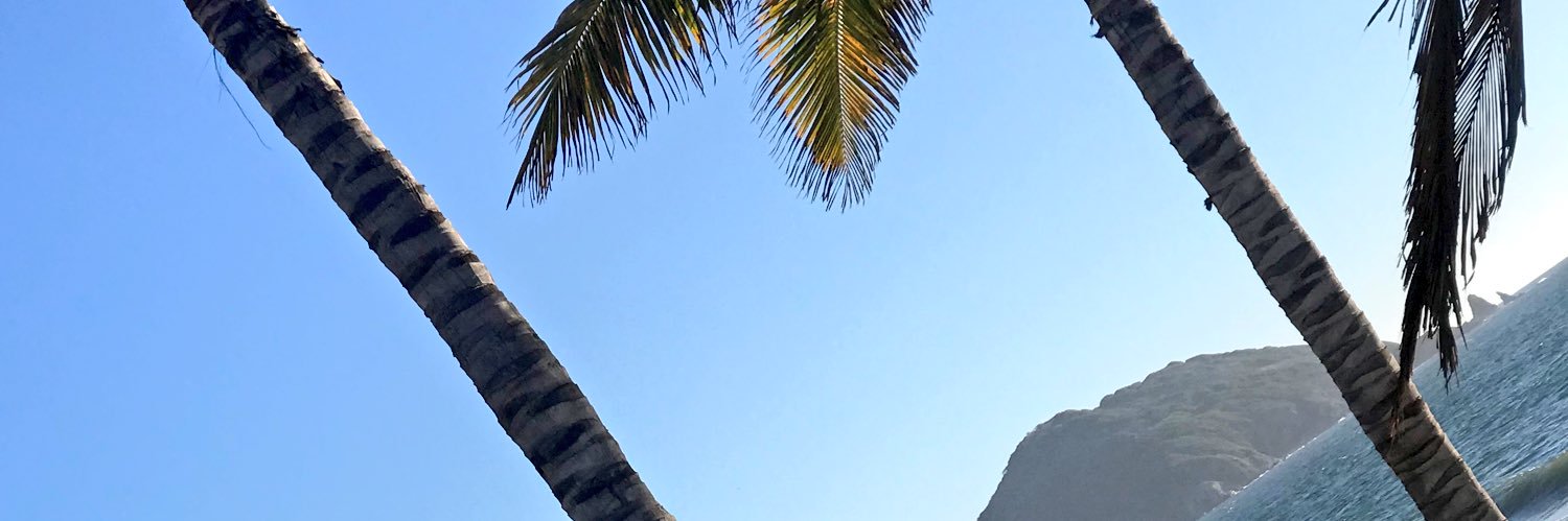 Danissac's profile banner image