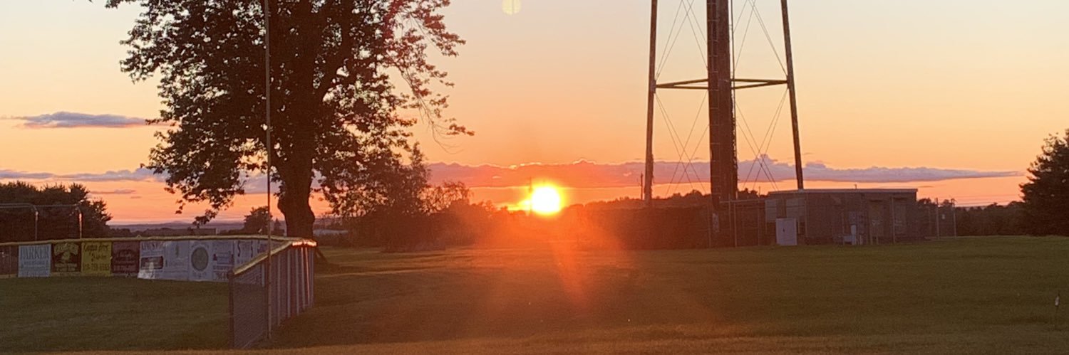 nancy graziano banner