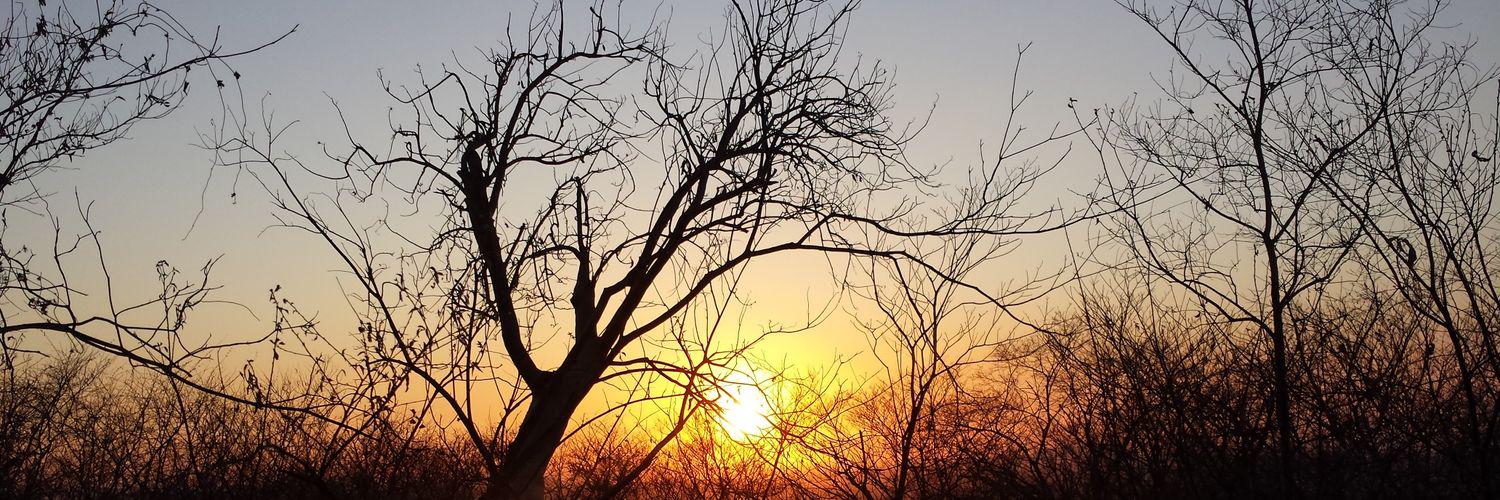 armandoestancia's profile banner image