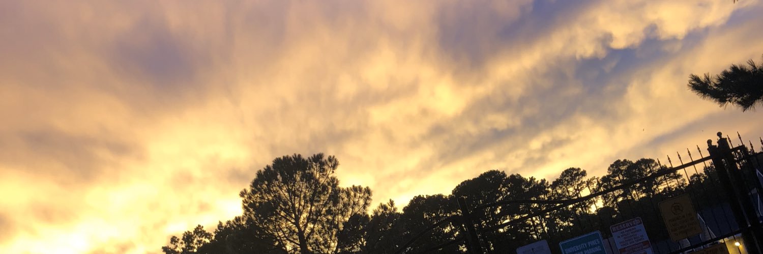 SavannahRalph15's profile banner image