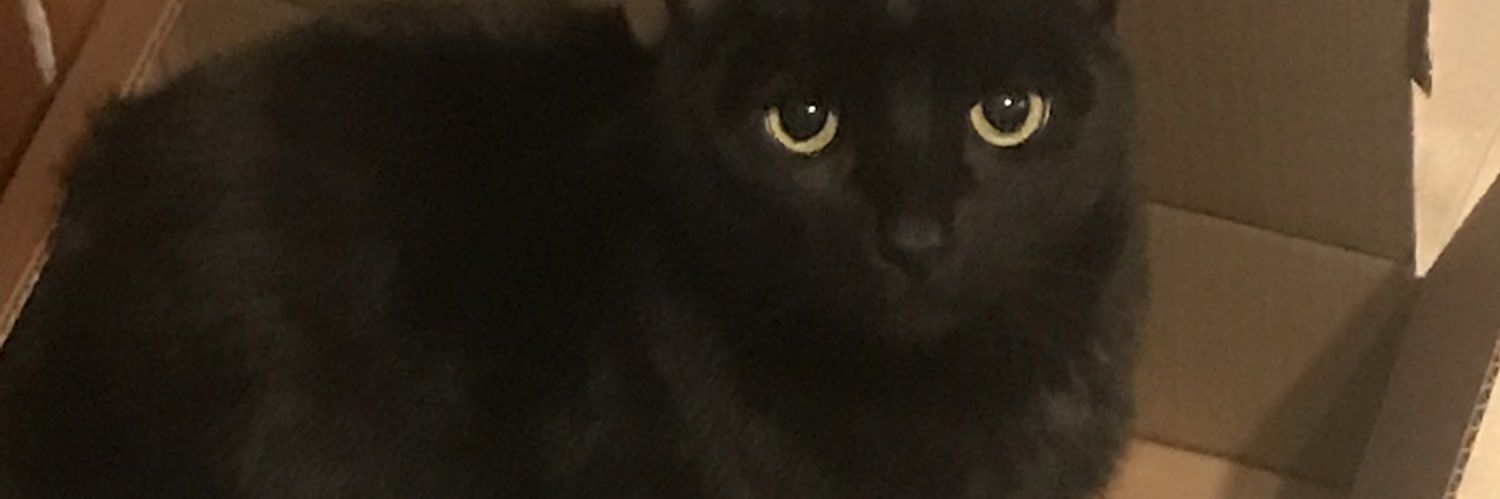 Soki banner