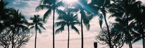 caylaenderson's profile banner image