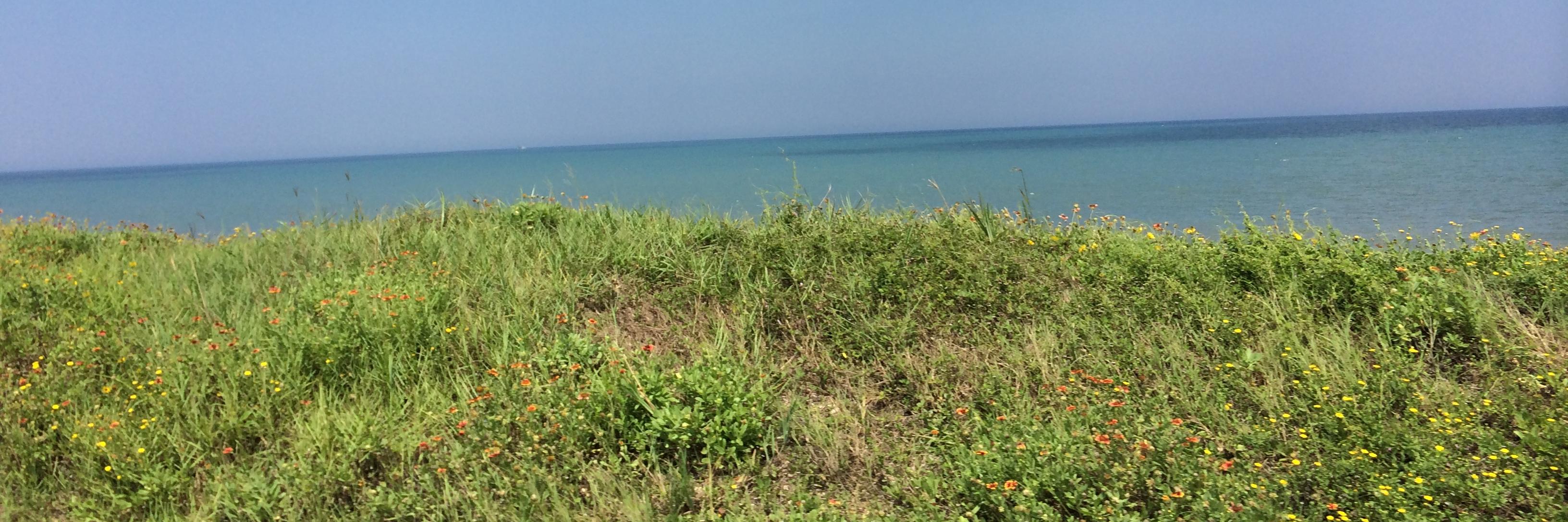KellyBothum's profile banner image