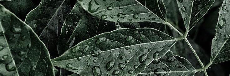 litttleunknownn's profile banner image