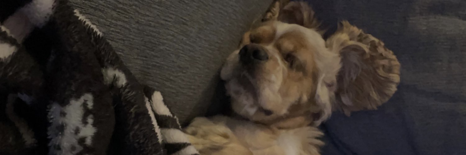 sweeetmarii's profile banner image