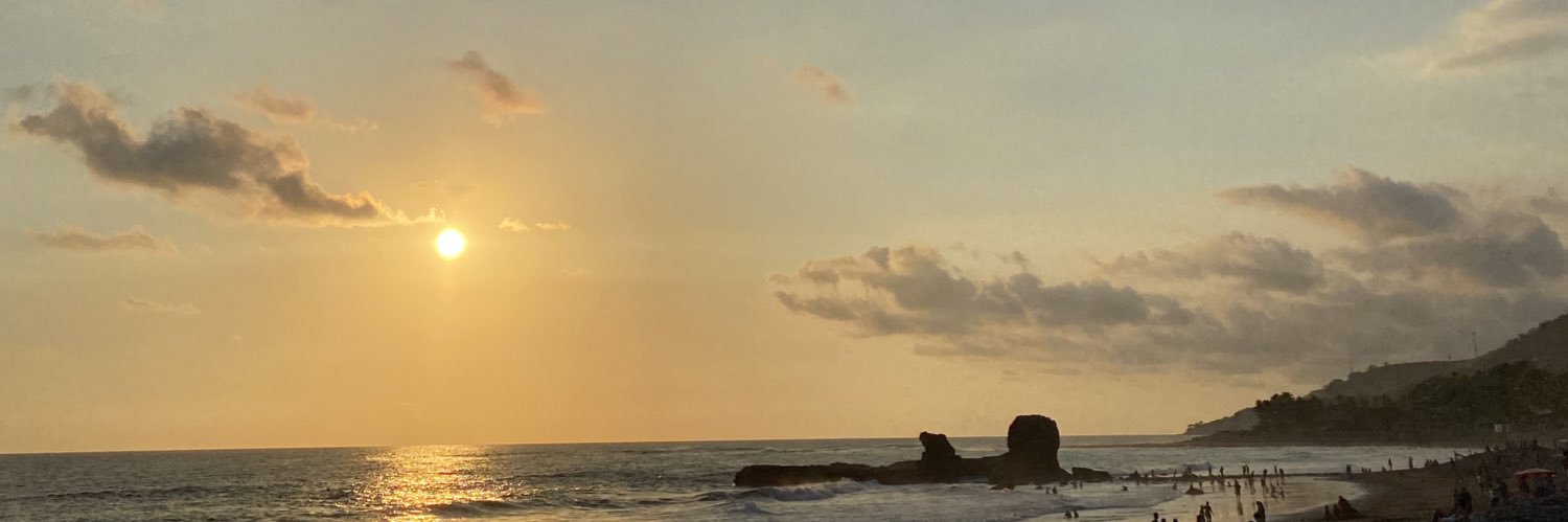 Nicolle Castro🍍 banner