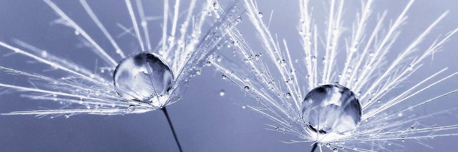 Mizz_Debz's profile banner image