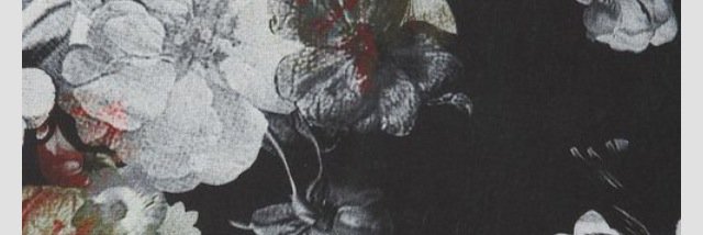 danni_mcguire's profile banner image
