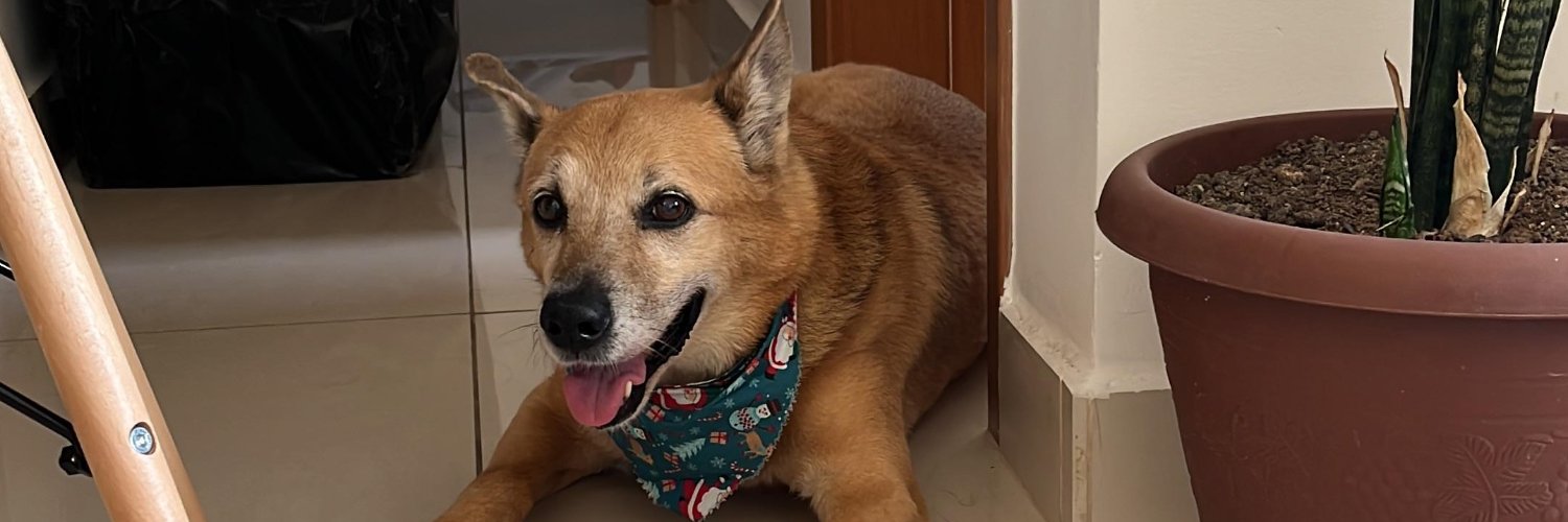 _Jurmartins's profile banner image