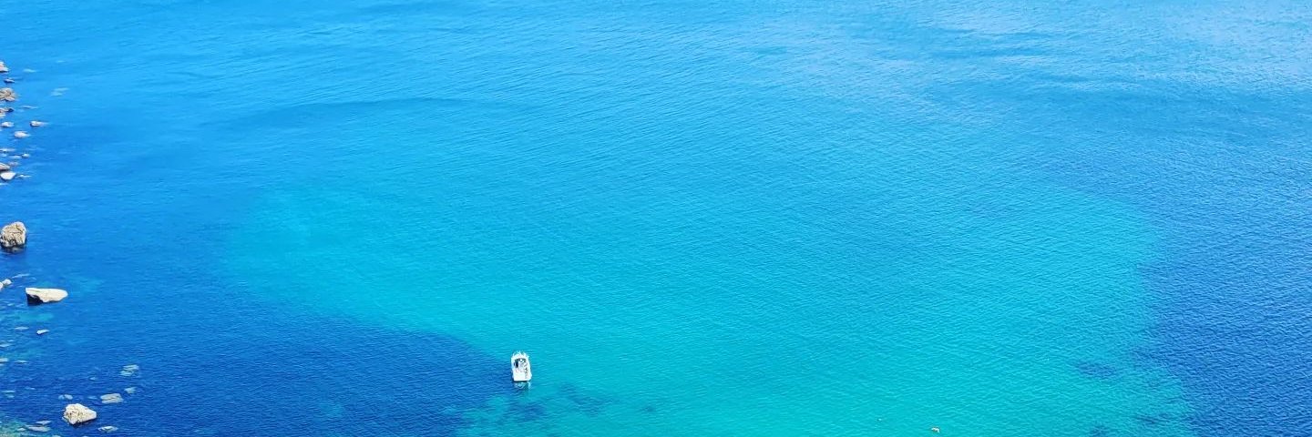 fernandocomet banner