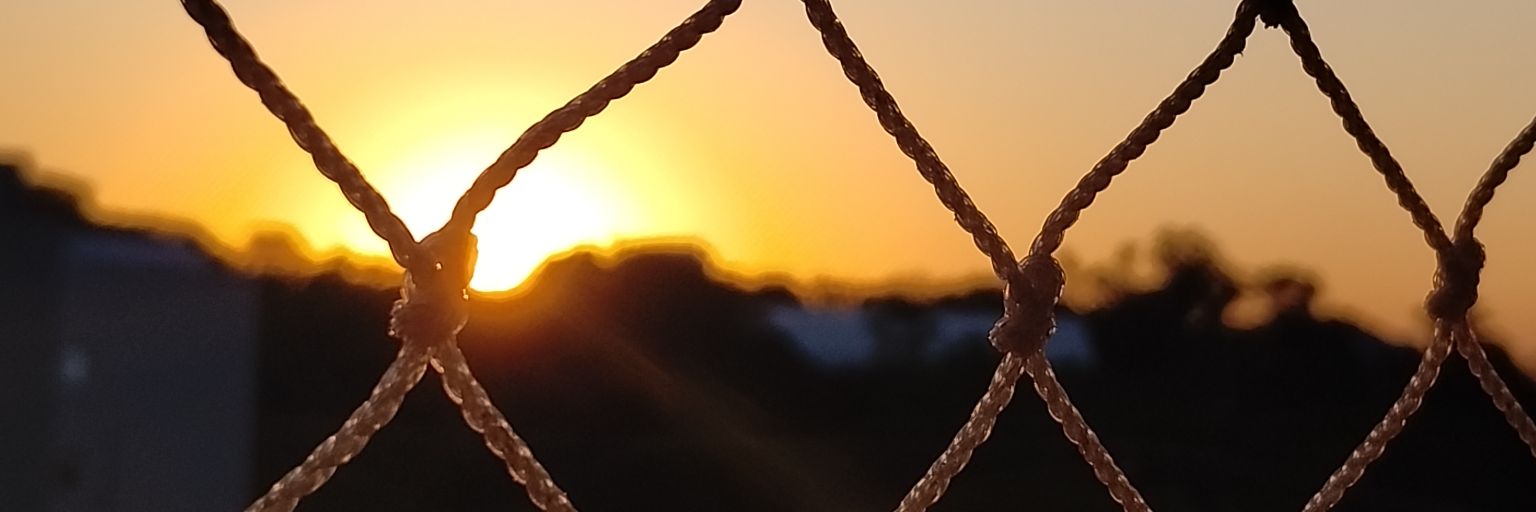 leticiacarli's profile banner image