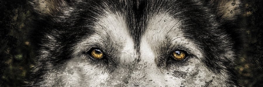 Atieraothman's profile banner image