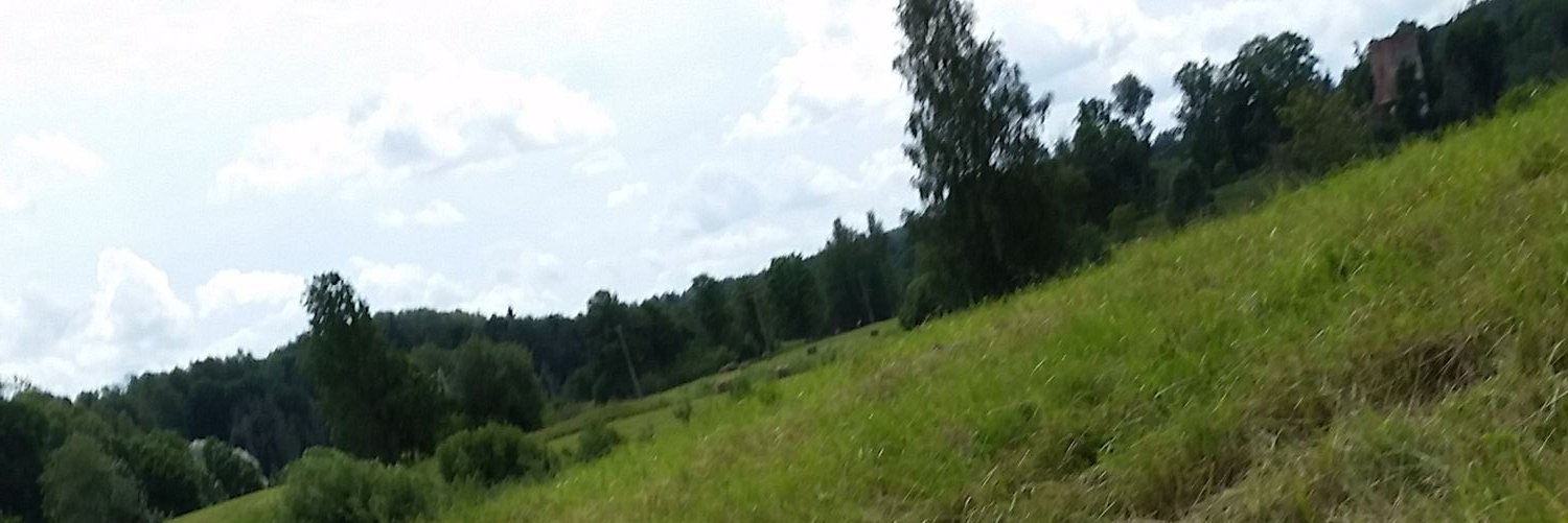 TheSassPrincess's profile banner image