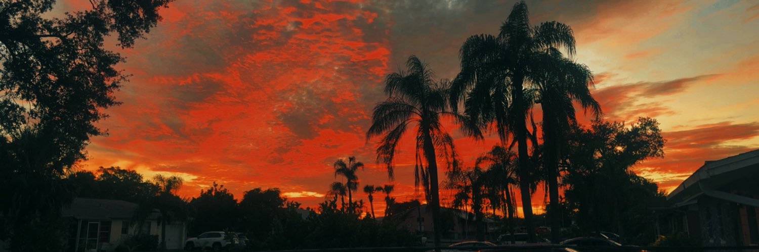 AmorDaisyx3's profile banner image
