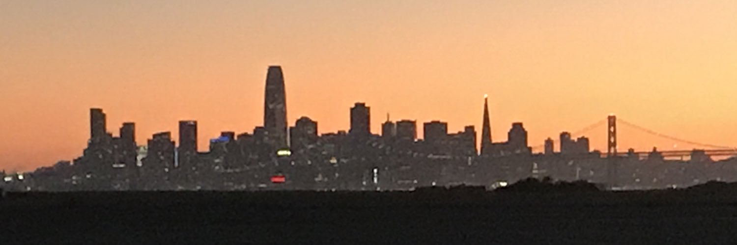 Citrus Heights Bear, Vote BLUE 🌊 and Fxck Trump banner