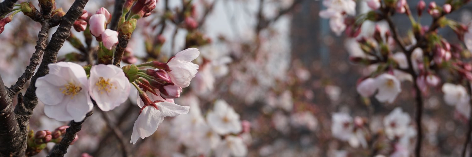 1821b101's profile banner image