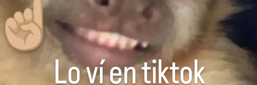 __vluna's profile banner image
