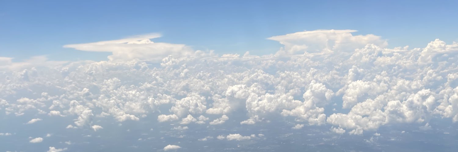 Tyler Long, MBA | CPT, CNC banner