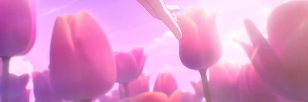 MissPinkHuman Profile Banner