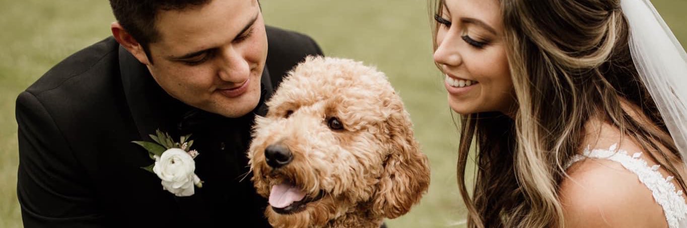casslovetinsky's profile banner image