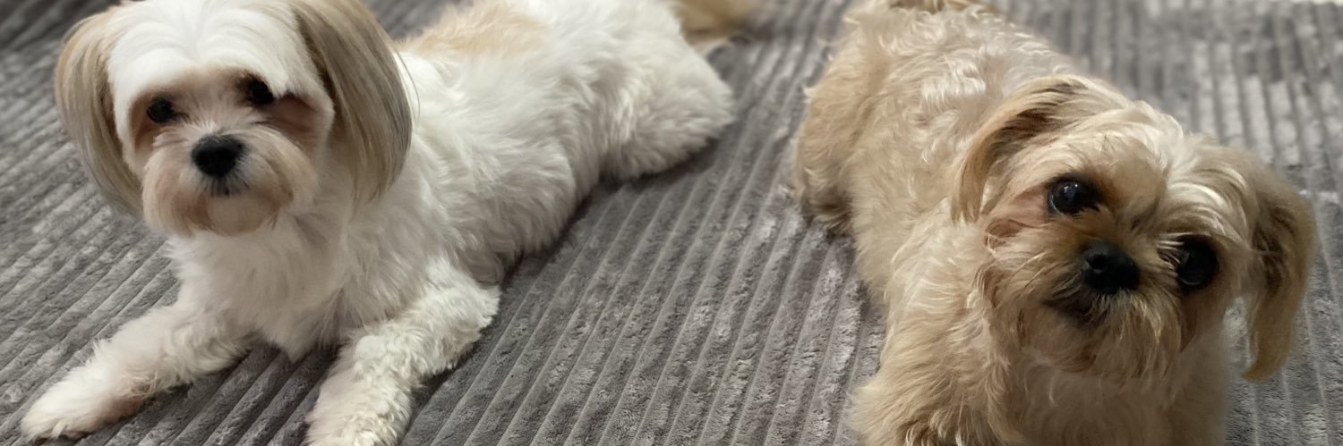 GabbySB_'s profile banner image