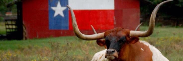 Wanda Johnson banner