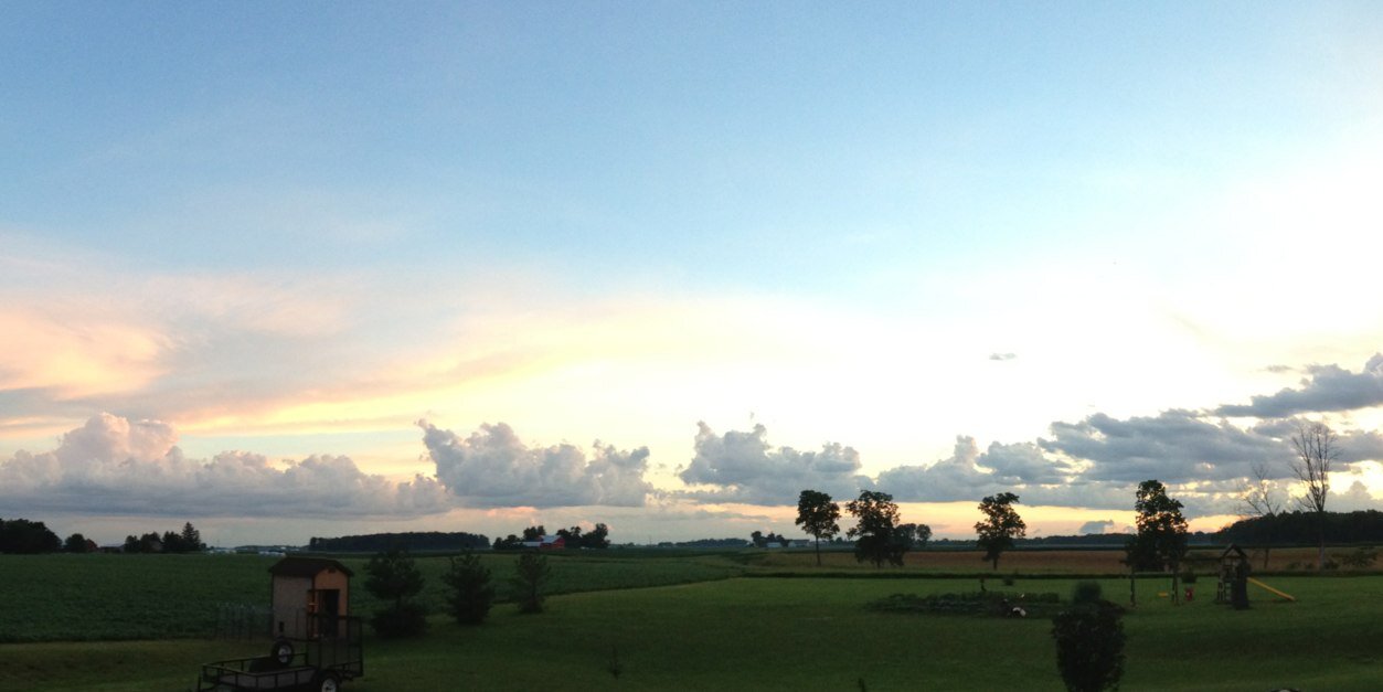NewVisionFarms's profile banner image
