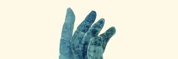 • 2 S N • banner