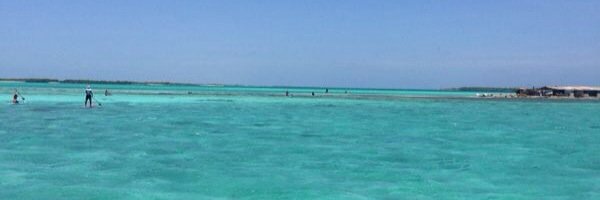 mcirigili's profile banner image