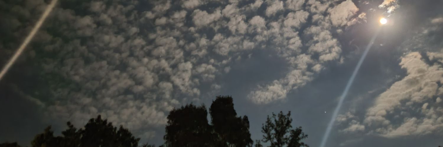 paradisechey's profile banner image