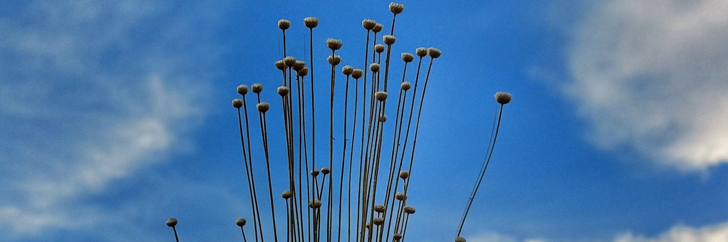 _naisam's profile banner image