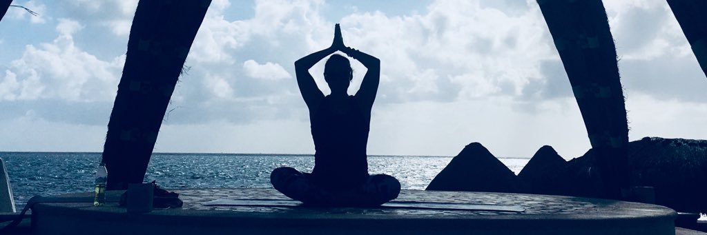 lisagreenetea's profile banner image