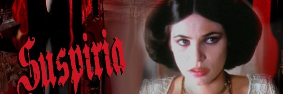 BarbaraMagnolfi's profile banner image