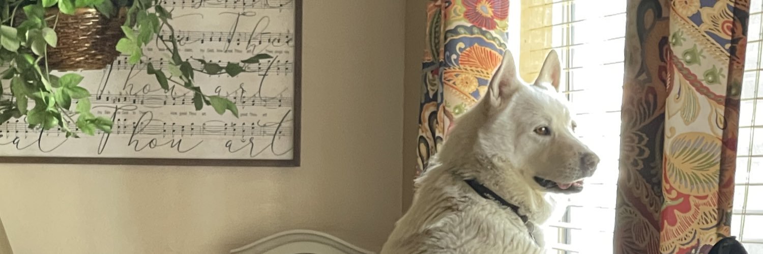 THE DEWMANCER banner