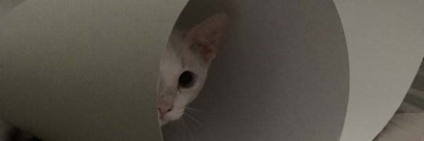 tooberose Profile Banner