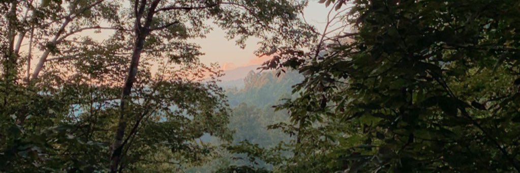 morgannpulliam's profile banner image