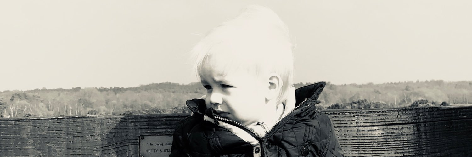 wildingding's profile banner image